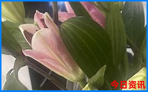 6月中旬适合穷游的城市