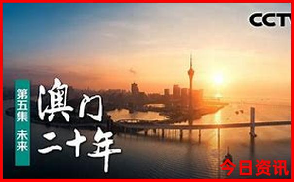 下一期推荐号码预测
